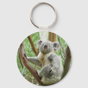 Kudely Koala Nyckelring