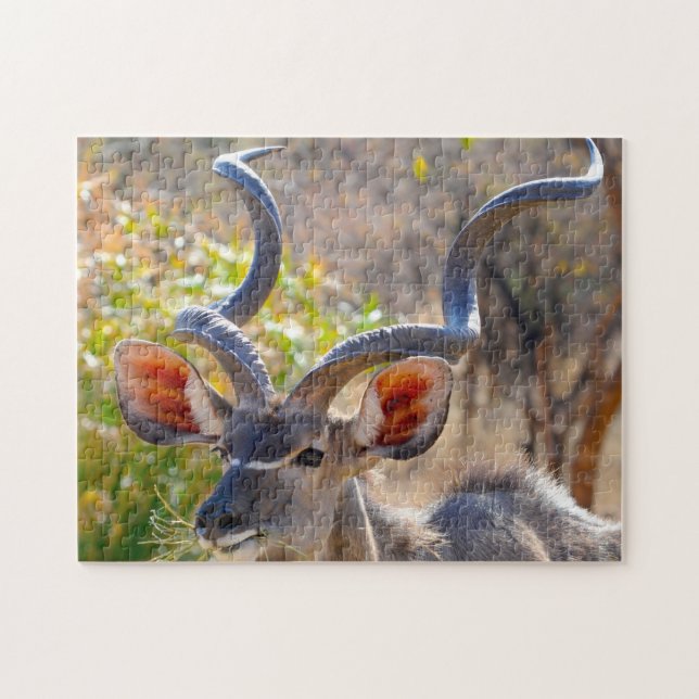 Kudu Botswana. Pussel (Horisontell)