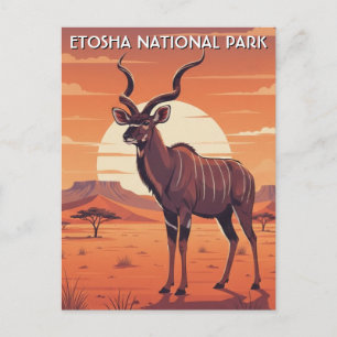Kudu i Etosha National Park Namibia Resa Vykort