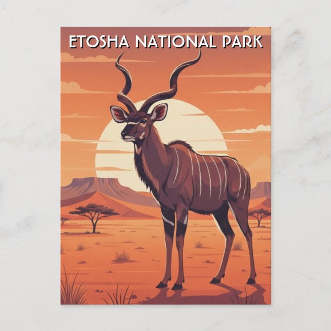 Kudu i Etosha National Park Namibia Resa Vykort (Framsida)