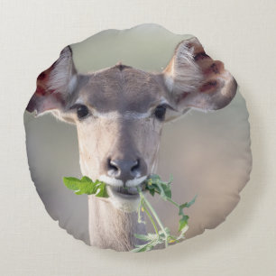 Kudu porträtt rund kudde