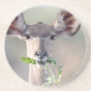 Kudu porträtt underlägg
