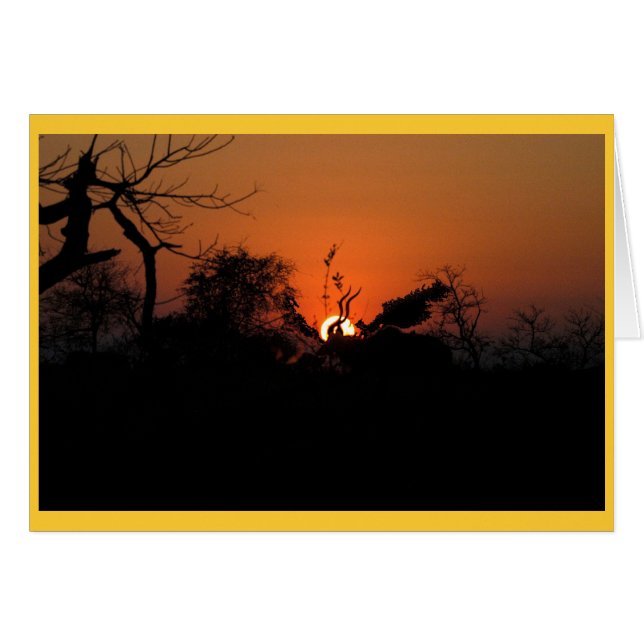 Kudu Sunset Hälsningskort (Framsidan Horizontal)