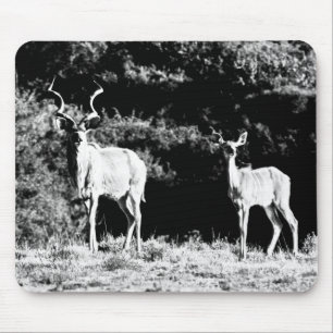 Kudu tjur och ko i svarten & vit - Mousepad Musmatta