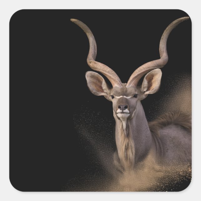 Kudu's Spirit Fyrkantigt Klistermärke (Framsida)