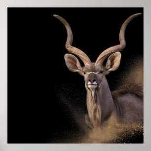 Kudu's Spirit Poster