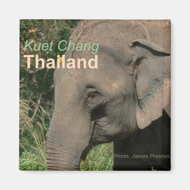 Kuet Chang Thailand Elephant Fridge Magnets Magnet (Framsidan)