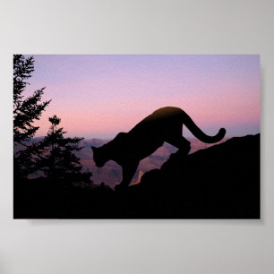 Kugar och Grand Canyon Poster
