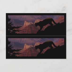 Kugar och Grand Canyon Vykort