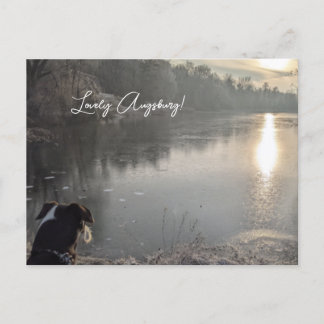 Kuhsee am Morgen mit Hund in Augsburg Vykort