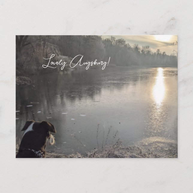 Kuhsee am Morgen mit Hund in Augsburg Vykort (Framsida)