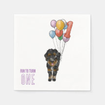 Kul att fylla år med Bernedoodle-födelsedagsfest