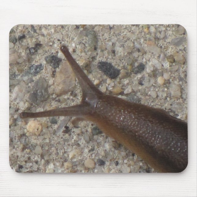 Kula Mousepad Musmatta (Framsidan)