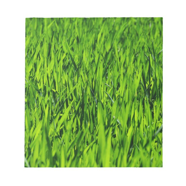 Kulblad av gräs anteckningsblock (Framsida)