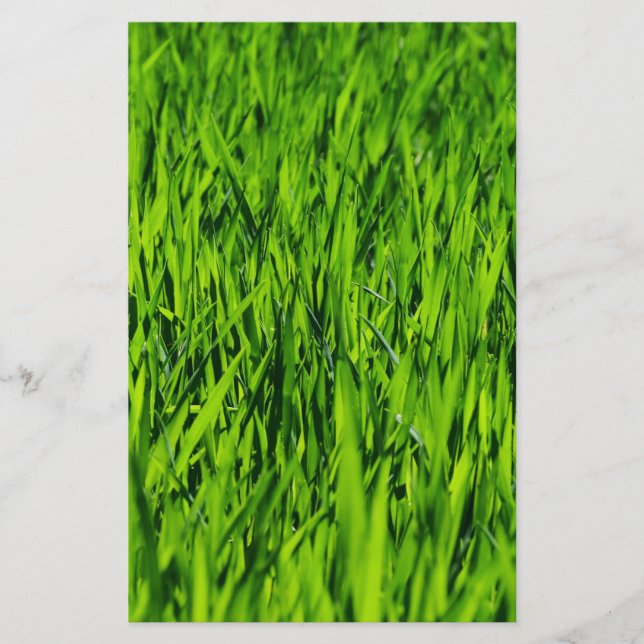 Kulblad av gräs brevpapper (Framsida)