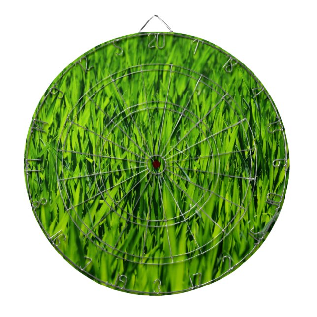 Kulblad av gräs darttavla (Framsidan)