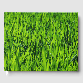 Kulblad av gräs gästböcker