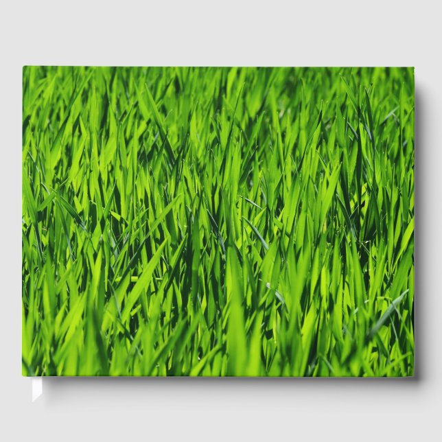 Kulblad av gräs gästböcker (Framsida)