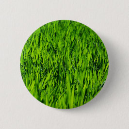 Kulblad av gräs knapp