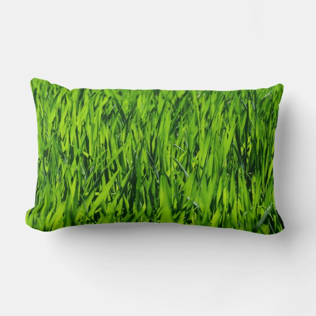 Kulblad av gräs lumbarkudde (Framsida)