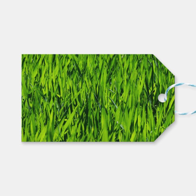 Kulblad av gräs presentetikett (Framsidan (Horisontell))