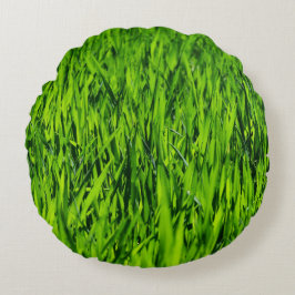 Kulblad av gräs rund kudde