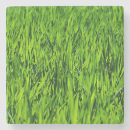 Kulblad av gräs stenunderlägg