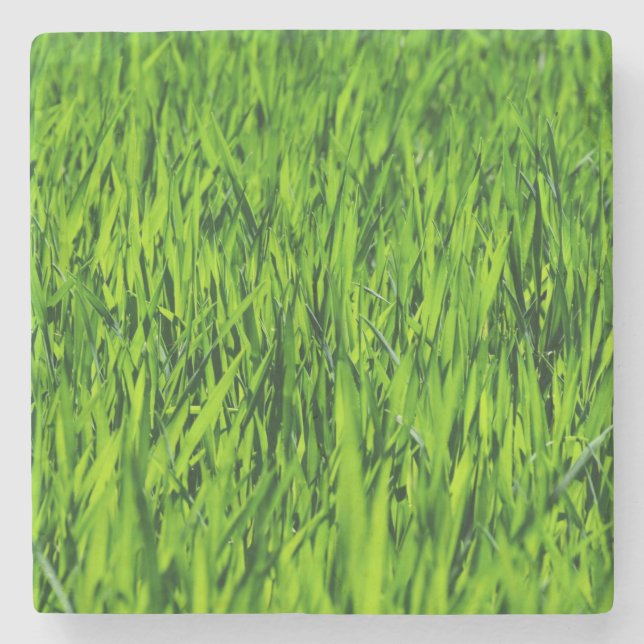 Kulblad av gräs stenunderlägg (Framsidan)