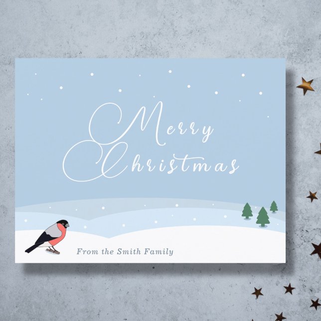 Kulfinch & Snö Liggande julhälsningskort Julkort (Bullfinch & Snow Landscape Christmas Greeting Card)