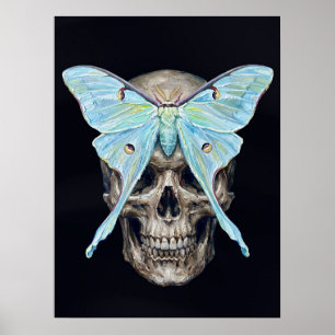 kull och Luna Moth — Memento Mori Impasto Poster