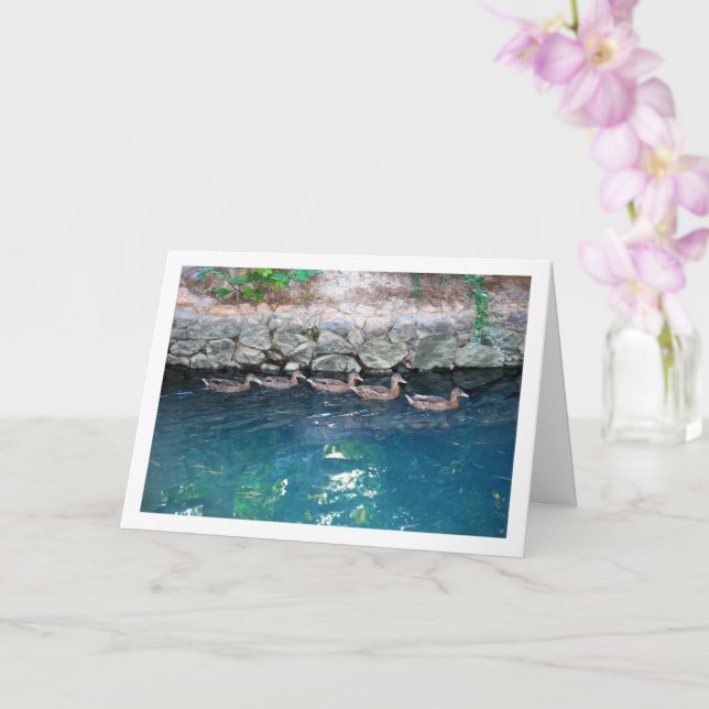 Kullar med ankor i majestätiskt blått vatten kort (Orkide)