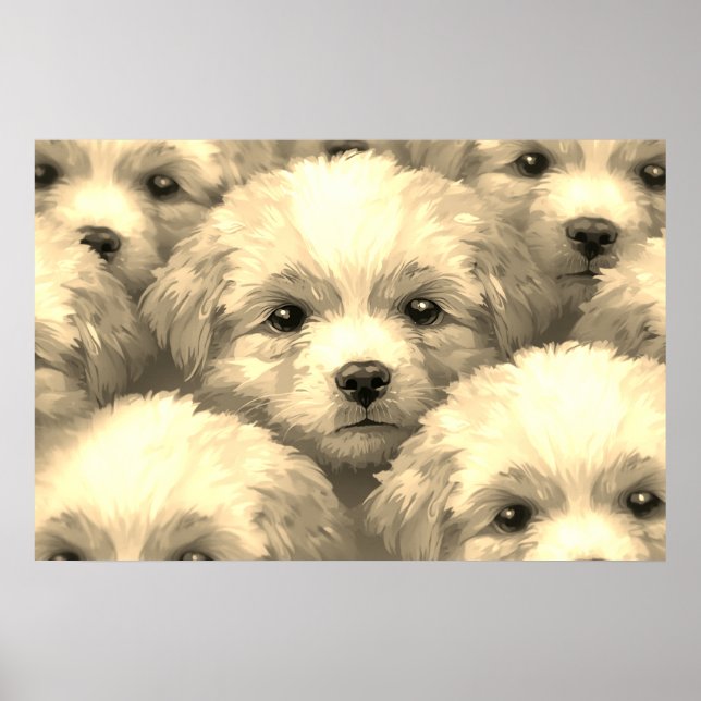 Kullen av blondhåriga valpar på en vägg poster (Framsidan)