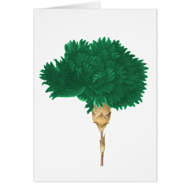 Kulten av Wilde Hälsningskort (Framsidan)