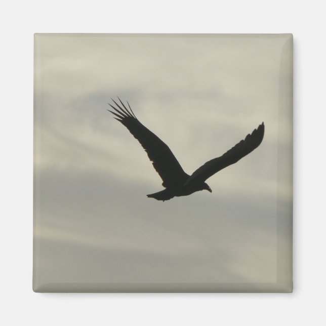 Kultur. Magnet (Framsidan)