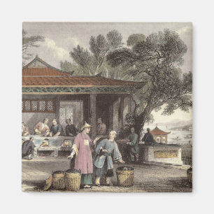 Kulturen och förberedelsen av Tea, från 'china in Magnet