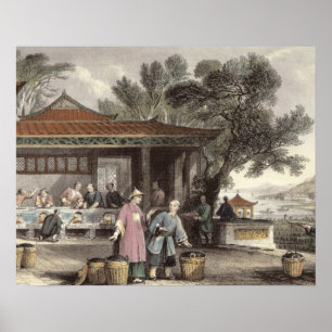 Kulturen och förberedelsen av Tea, från 'china in Poster