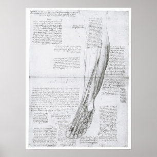 Kulturerna i Leg, Leonardo Da Vinci Poster