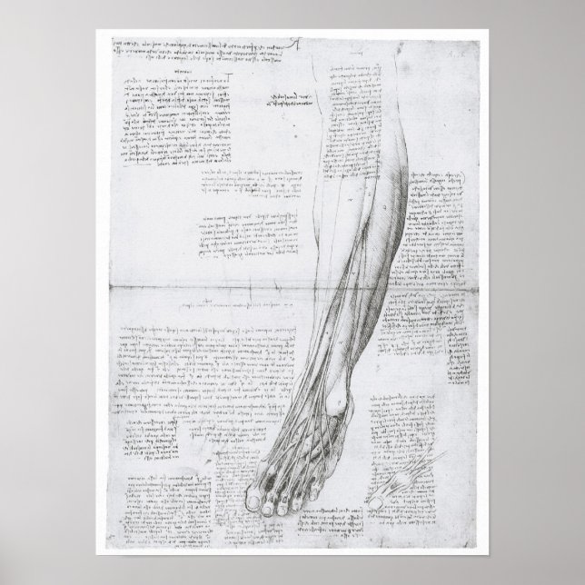 Kulturerna i Leg, Leonardo Da Vinci Poster (Framsidan)