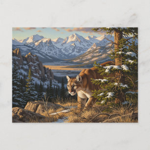 Kumar i Rocky Mountain National Park Travel Vykort