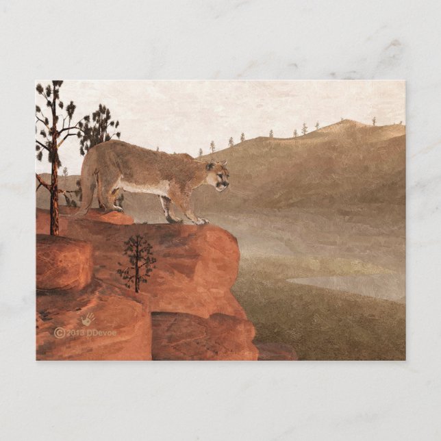 Kumar - koncentration vykort (Framsida)