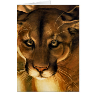 Kumar - Lejona berget - Puma Hälsningskort