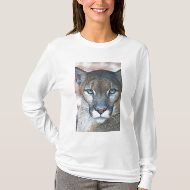 Kumar, lejona bergsområde, Florida panter, Puma Tee Shirt (Framsida)