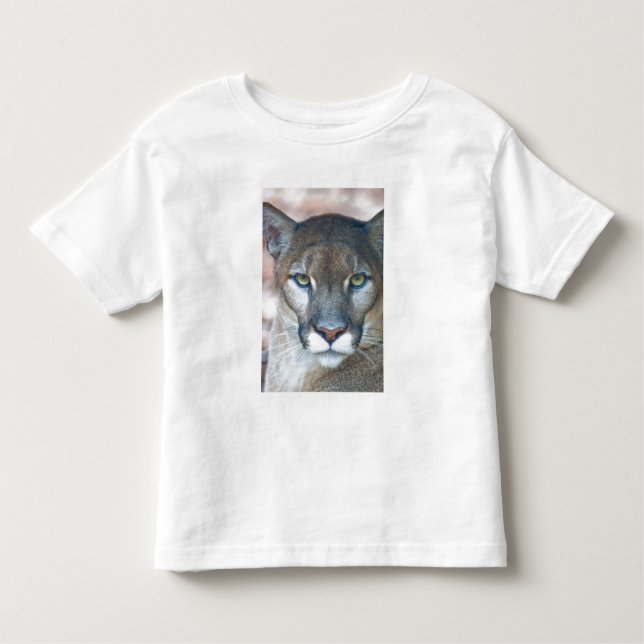 Kumar, lejona bergsområde, Florida panter, Puma Tee Shirt (Framsida)