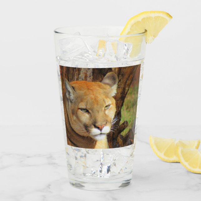 Kumar/Puma/FL Panther Tumbler/Shaker Glass Glaskopp (Bakside Is)
