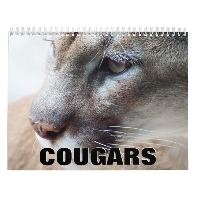 Kumgarnas väggkalender kalender (Omslag)