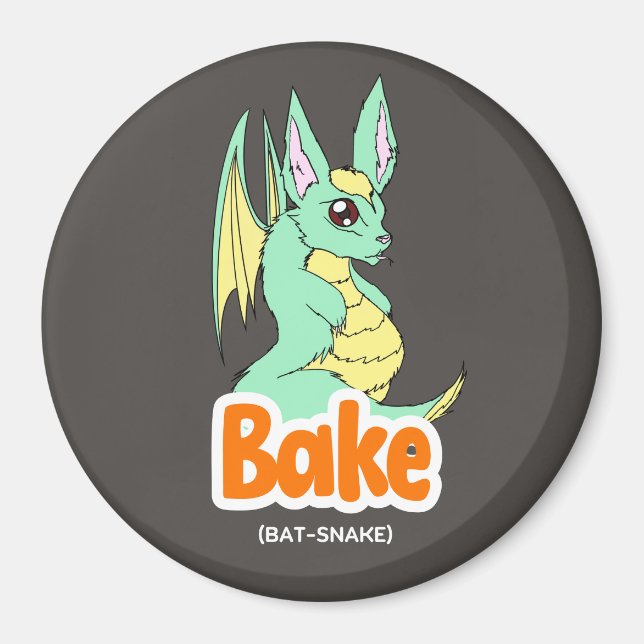 Kummel (katt + kummel) Kylcirkel och kvadratmagnet Magnet (Framsidan)