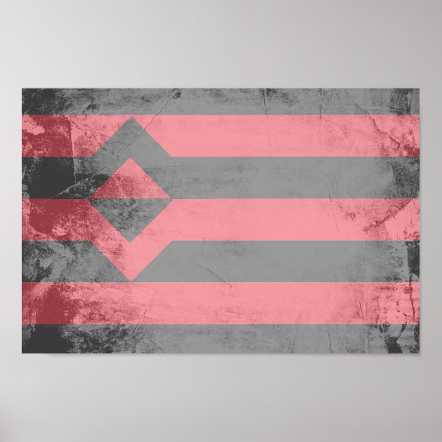 KUMPANJÄMSTÄRFLAGGA POSTER (Framsidan)