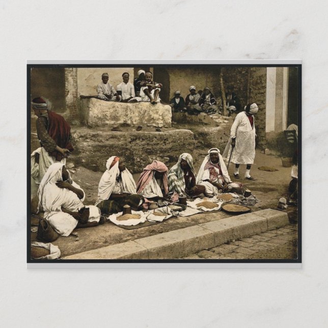 Kumssäljare och arabiska kaféer, Tunis, Tunisien Vykort (Framsida)