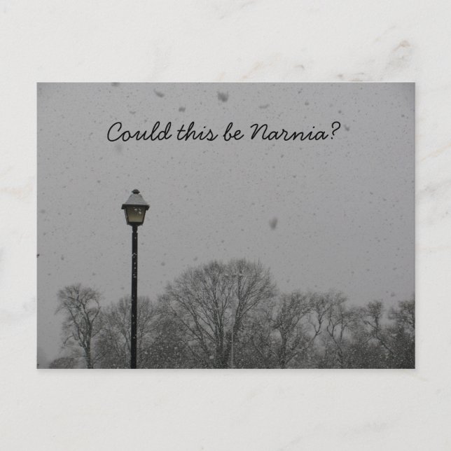 Kunde denna vara Narnia? Vykort (Framsida)
