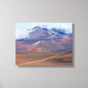 Kundkonger och berg i haleakalakater canvastryck